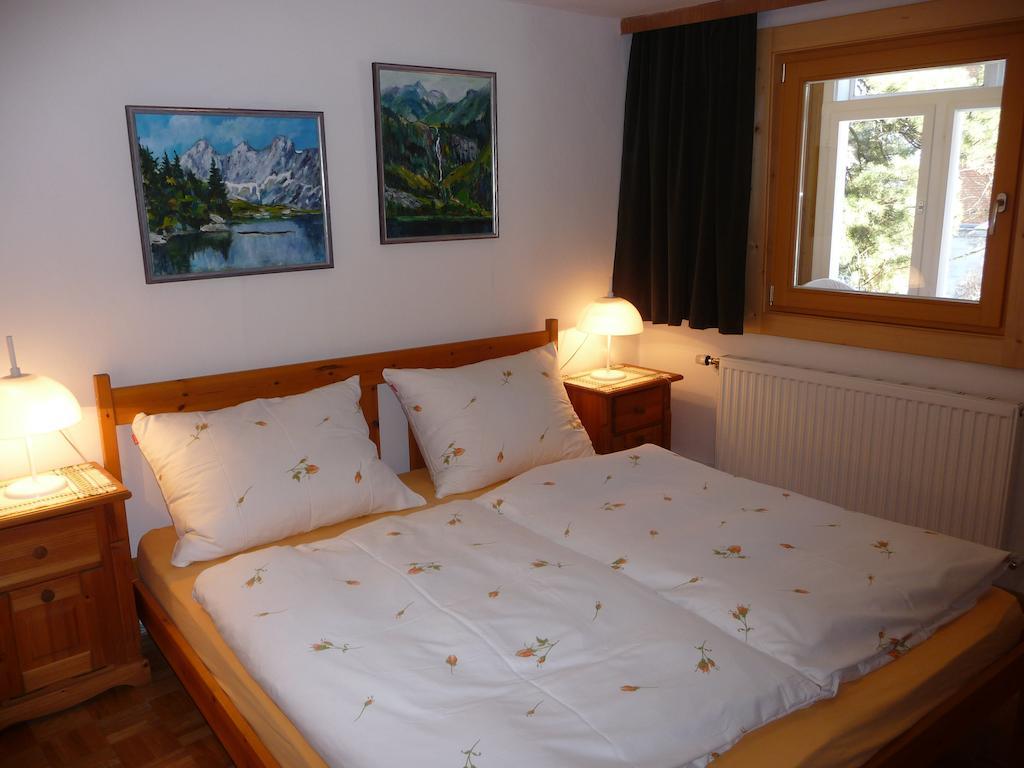 Haus Gradwohl Apartment Schladming Ruang foto